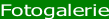Fotogalerie